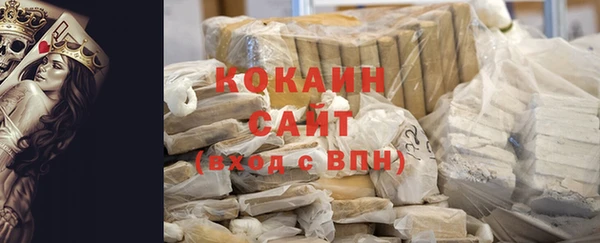 индика Алзамай