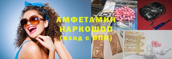 индика Алзамай